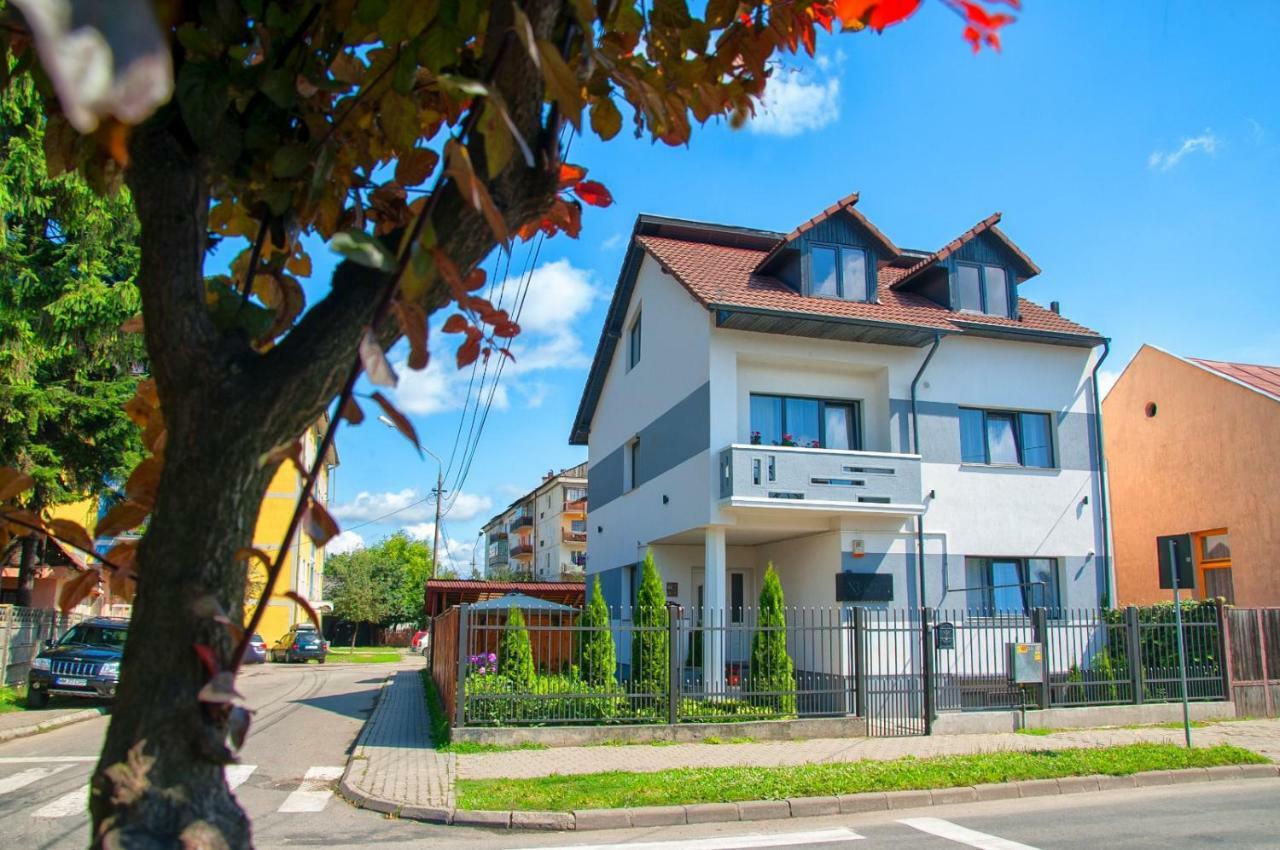 Vila Roza Сигету-Мармацией Экстерьер фото